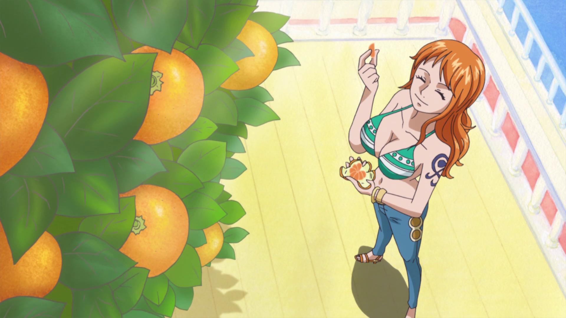 One Piece Ada Devil Fruit Di Pohon Jeruk Nami Greenscene