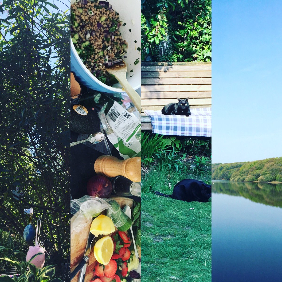 Runningbean2's tweet image. Happy Easter