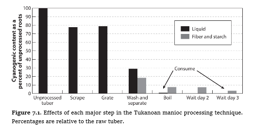 Cassava is poisonous if not prepared right, so Amazonian women spent 1/4 of their time following these complex steps.But poisoning takes years of eating unsafe cassava it would be difficult to connect the 2 together + since the process was mainstream few ever became poisoned.