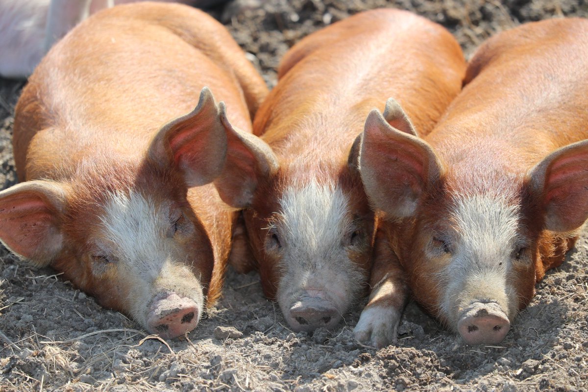 Peaceful days shooting with a camera.