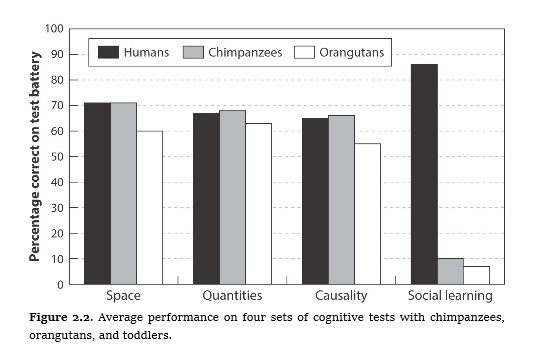 In fact it seems the reasons humans dominate is not because we are individually intelligent, but because we are so good at learning and remembering what we learned.This allows us to develop and learn a toolbox of accumulated specialized knowledge that can help us survive.