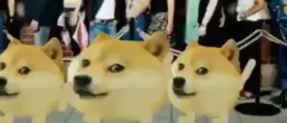 Gushee On Twitter We Stan The Morph Magic Dog From The 2011 Roblox Header Roblox - 2011 roblox header roblox thedogwar roblox at dogroblox twitter profile and Gushee On Twitter We Stan The Morph Magic Dog From The 2011 Roblox Header Roblox - thedogwar roblox at dogroblox twitter profile and