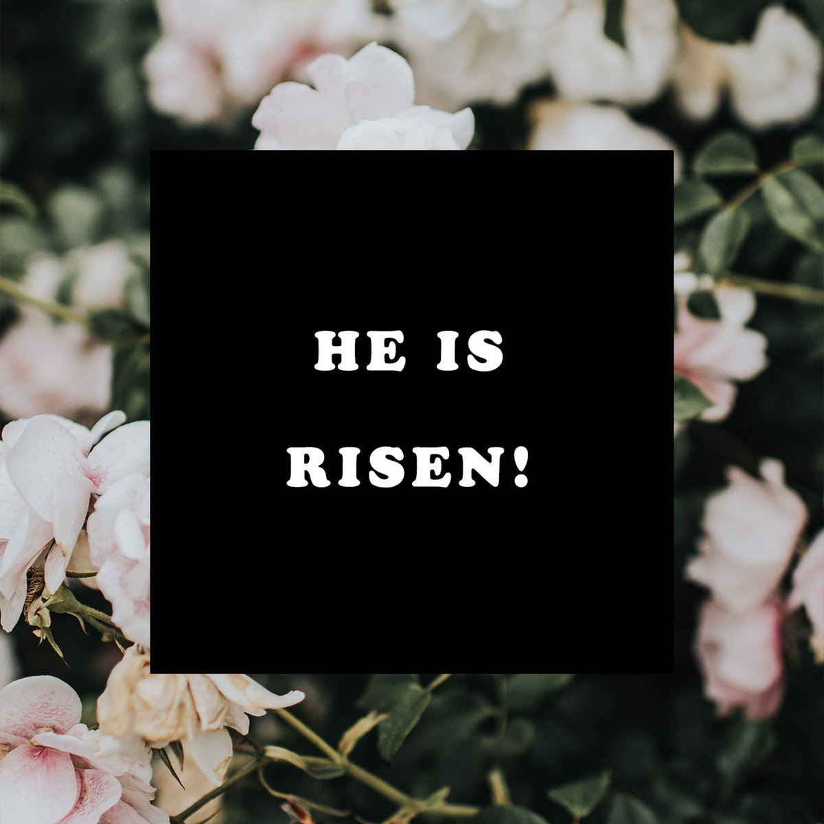 peermagazine's tweet image. PSA: Jesus is risen! Hallelujah! Don’t hold onto past mistakes, past sins and regrets that may weigh you down. "For God so loved the world, that he gave His only Son, that whoever believes in him should not perish but have eternal life" - John 3:16 #Heisrisen #easterpost #peer