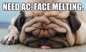 Griffiths A/C & H/P tweet media