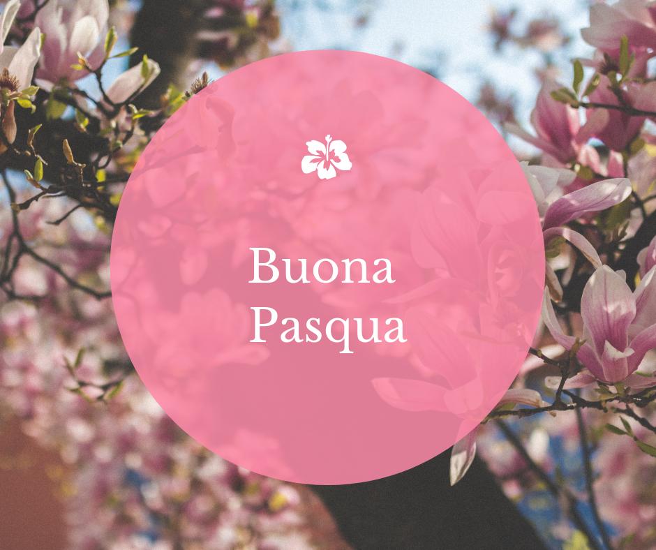 Buona Pasqua Sposine 😍
#pasqua2019 #21aprile #sposa #wedding #rosa #matrimonio #Easter #fiori #fiorimatrimonio #mybouquet #bouquet #sposi #nozze #weddingbouquet #bouquetsposa