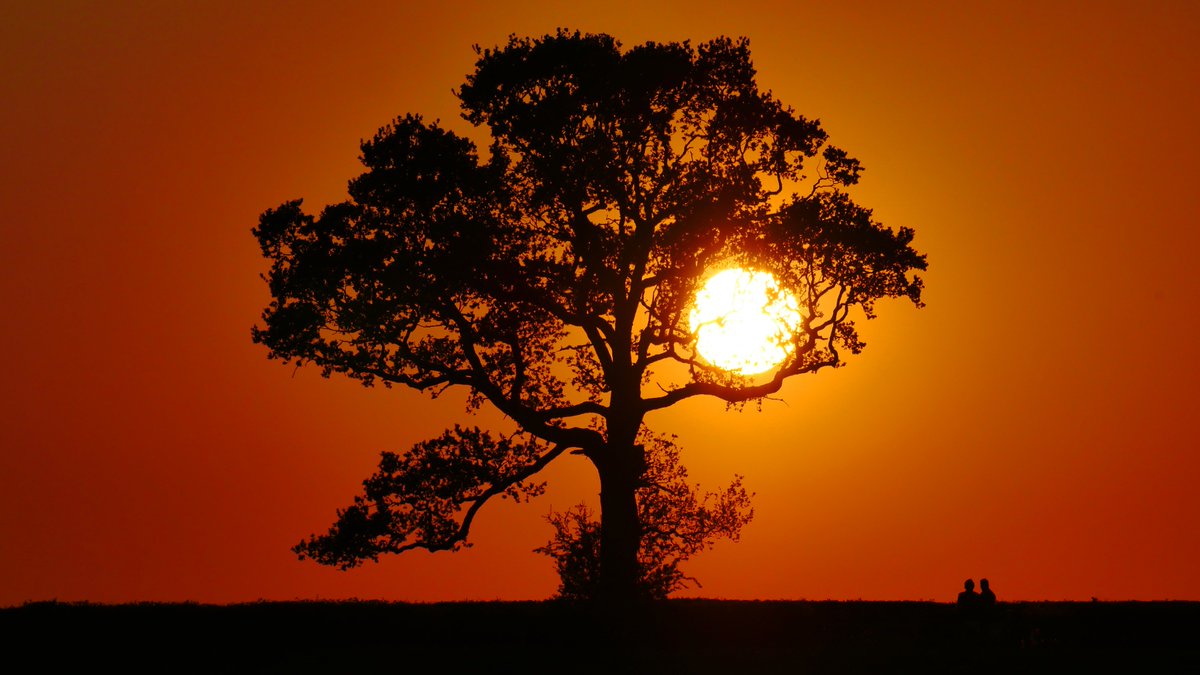 On this tragic day, a moment of peace and life in all it's simplicity.