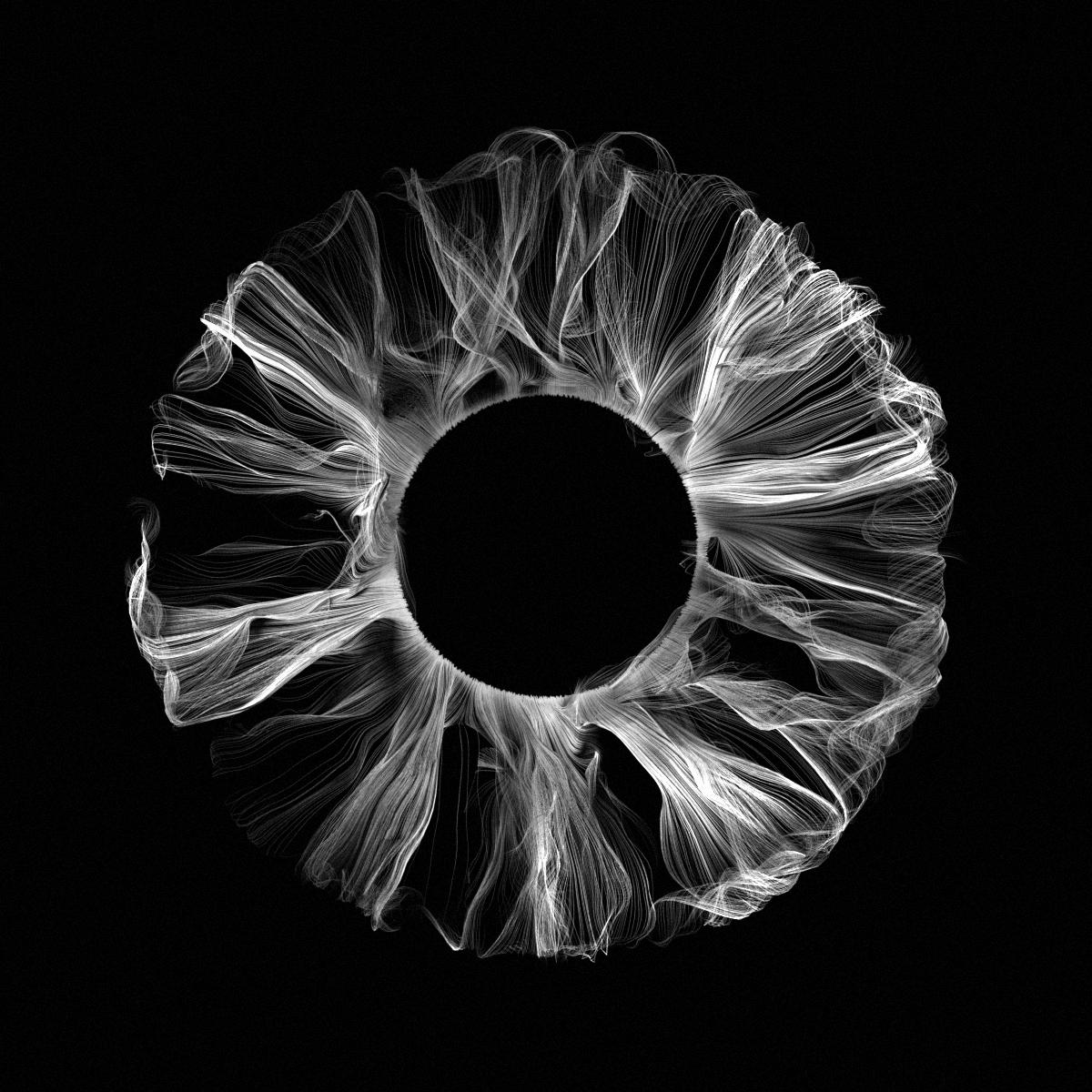 ryanutv's tweet image. fibreye.01
-
-
-
#xparticles #eye #flowfields #iris #octanerender #3d #c4d #cinema4d #simulation #turbulence