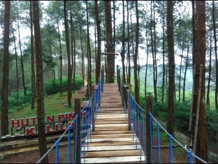 Faizzy24334864's tweet photo. #Romansapwr
@cikal https://t.co/x0Be6AnqzD