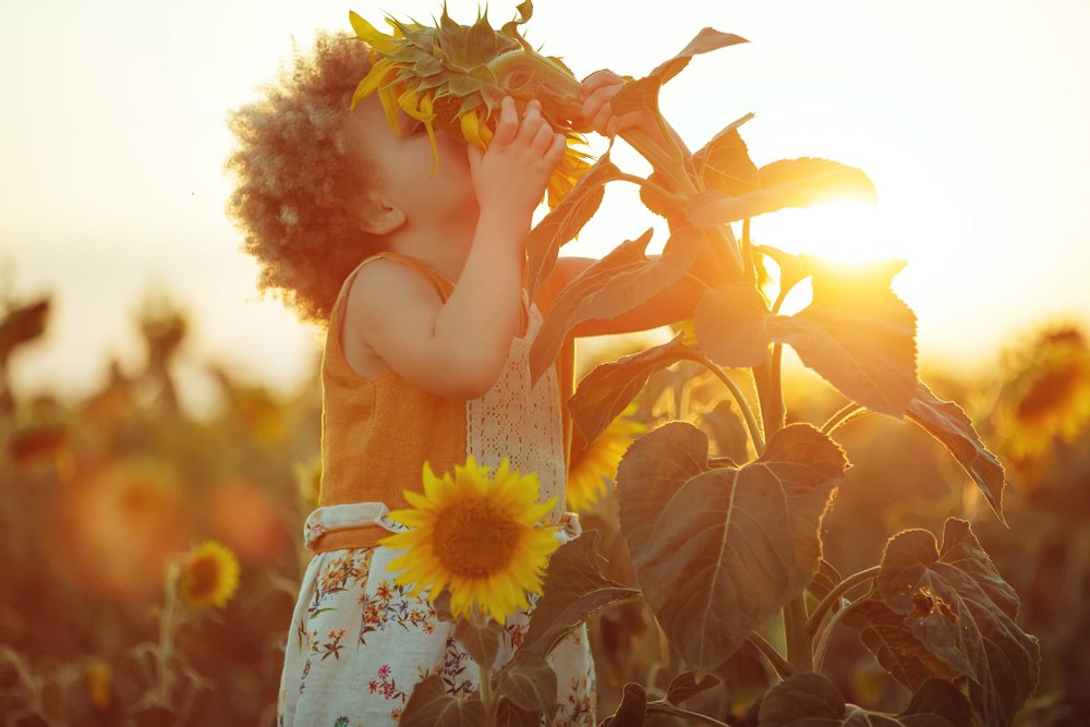 realNDWalsch's tweet photo. When you love something for the sheer beauty of it, for the sheer wonder of it, for the sheer joy of it, for the happiness it brings you to feel that energy glowing inside of you and sent out from you, you are loving purely. https://t.co/XGSIuDfLgl