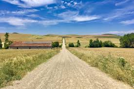 DoveVictoria's tweet photo. Although I was raised Christian, I'm no longer religious. Even so, I've encountered several people who've inspired me to walk the El Camino. I just finished Kathryn Harrison's The Road to Santiago &amp; have an idea for my own memoir. Writing flows when I'm walking. #EmbodiedWriting https://t.co/LaHJyWjI3j