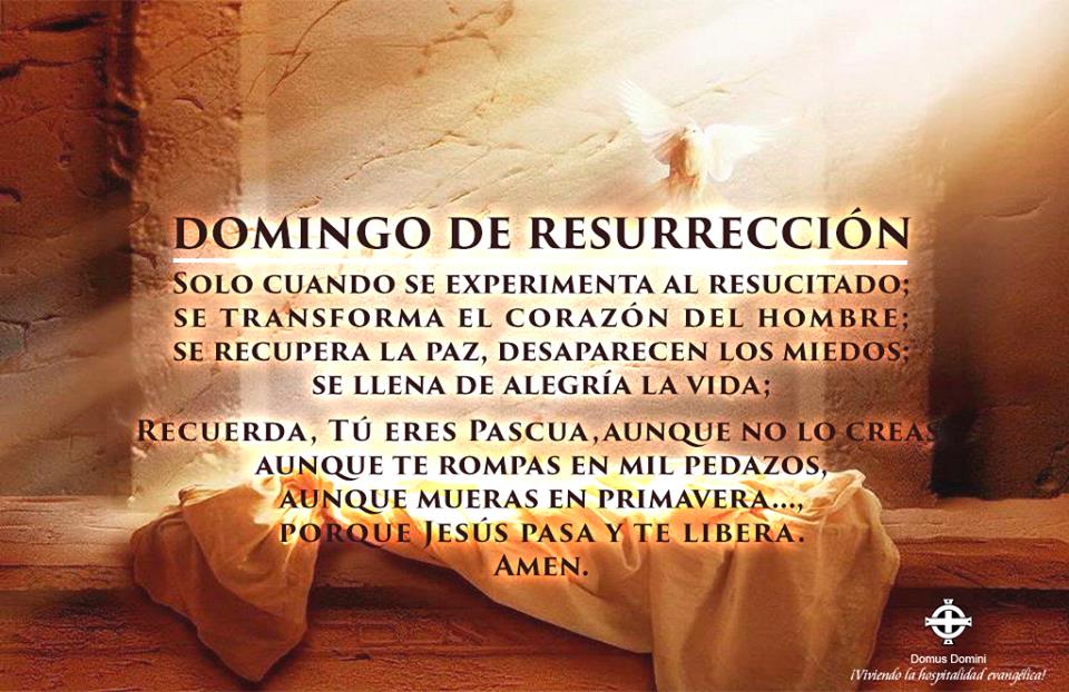 DomusDomini_MX's tweet photo. #DomingoDeResurrección #Jesús #Oración #Pascua #Camino #Interior #CorazónNuevo #Amor #GozoInterior #TuPalabra #SinMiedos #Amen 
#SeñorDeLaVida #LuzyFuerza #Reencuentro #Dios #Inicio #Oración #Relación #Fe #DomusDominiComunidad #Sabiduría #Discernimiento #Cualidades #Compromiso https://t.co/265pVCa3wq