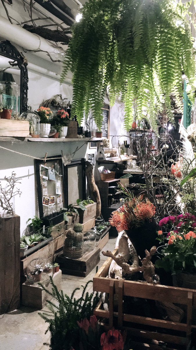 ashley_witucki's tweet photo. One hidden gem in #Reno that I am glad I found was The Basement. This cute and trendy little underground place has coffee shops, essential oils, candy shops, and even a garden center. This is also a great place to unwind and get some work done! #JOUR320 https://t.co/7CpRTgLiFs