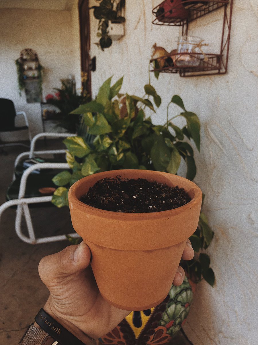 thaboyandy's tweet photo. PLANTING SEEDS / / / / / 

Happy Resurrection Day! https://t.co/ayHrHGlb1P