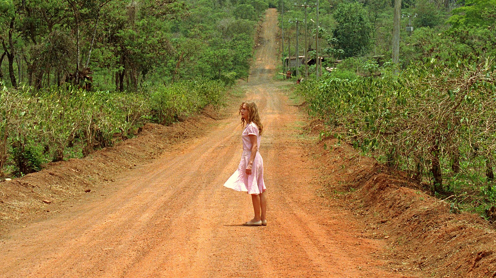 Happy birthday Claire Denis. I can t say I enjoyed White material, but it was fascinating to watch. 