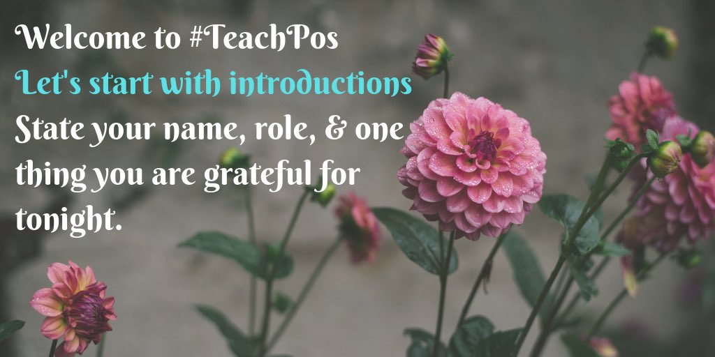 Elyse Hahne tweet media