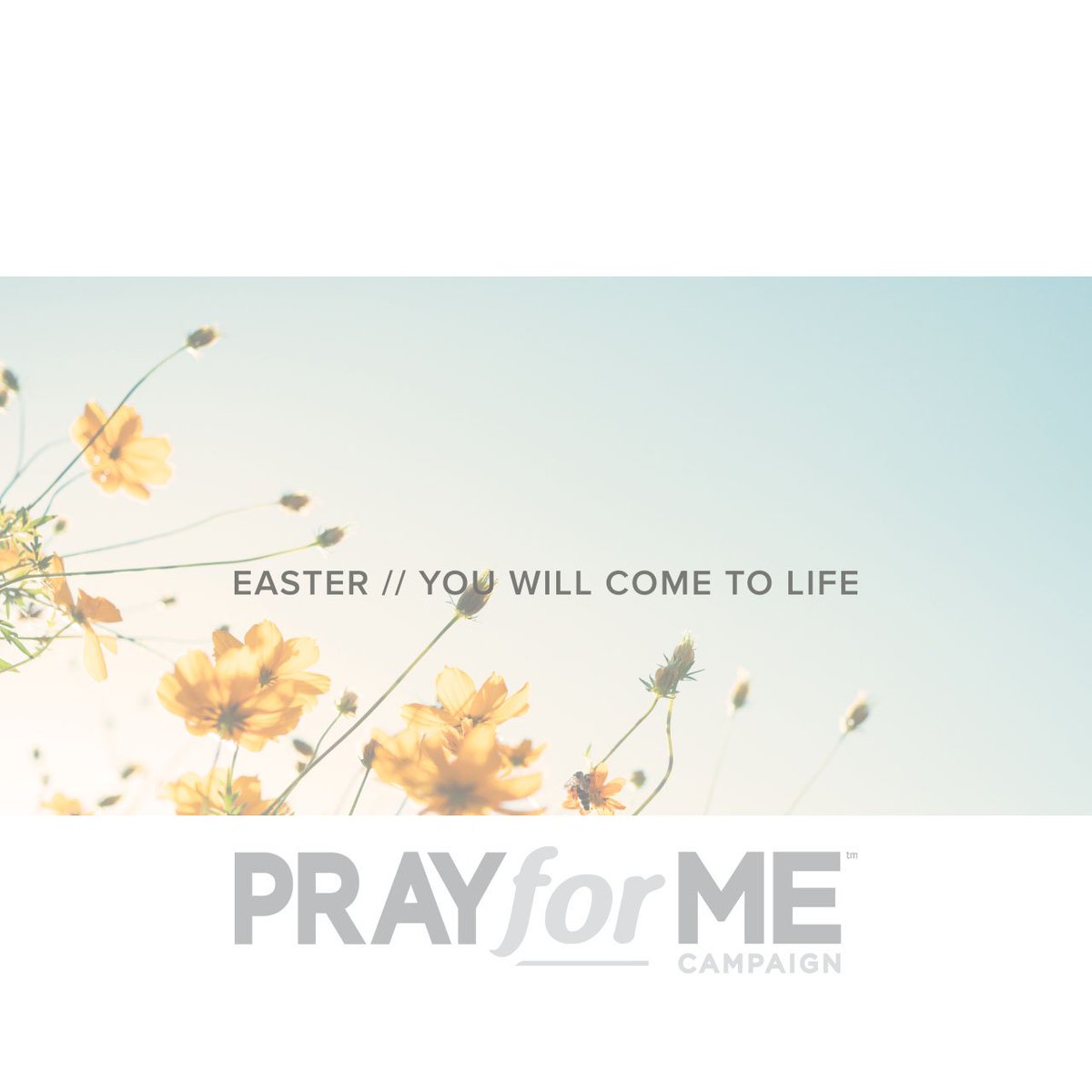 PFMCampaign's tweet photo. From our family at the #PrayforMeCampaign, we hope that you had an amazing #Easter and your hearts are full of the truth and blessing that HE HAS RISEN! https://t.co/er3lfHyf1h
