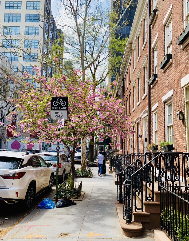 MAGIC!! Everyday for the lasts 2 weeks on my way to my edit I have passed this exact spot. Today I stopped and couldn’t get my eyes of a cherry tree which seemed like it had blossomed over night. Just a wonder of nature in the middle of a concrete jungle called New York! MAGIC!!