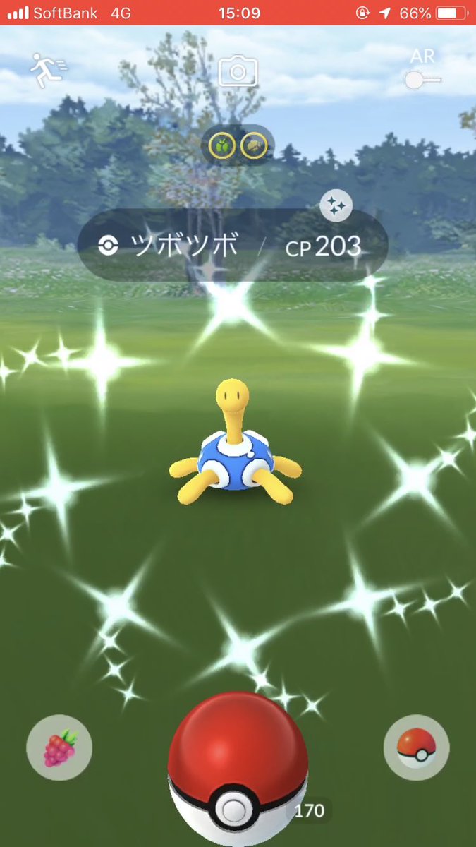 4 21 ツボツボかわいいよ ツボツボ お疲れ様でした みんなの結果は みんなのポケgo みんポケ 4 21 ツボツボかわいいよ ツボツボ お疲れ様でした みんなの結果は みんなのポケgo みんポケ