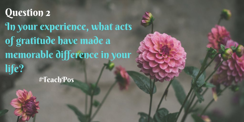 Elyse Hahne tweet media