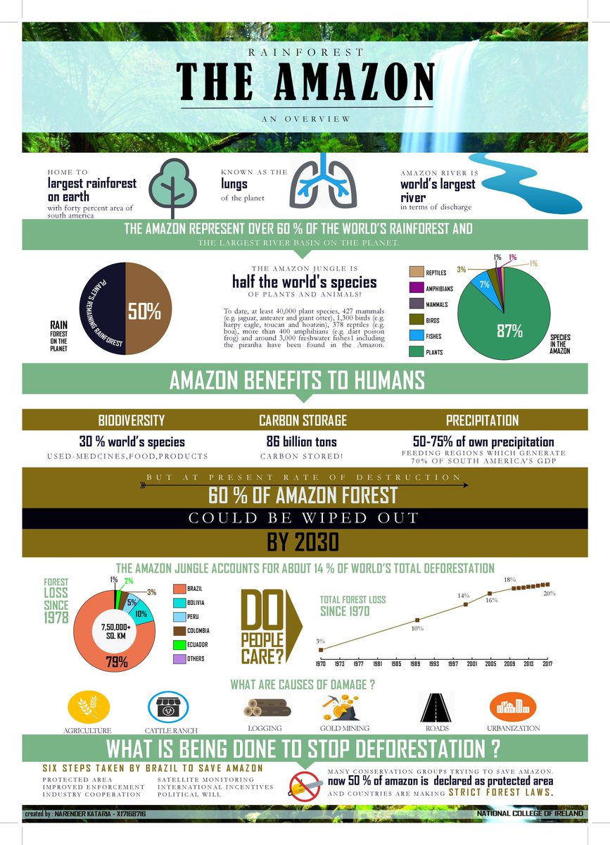 Save Amazon Forest  !