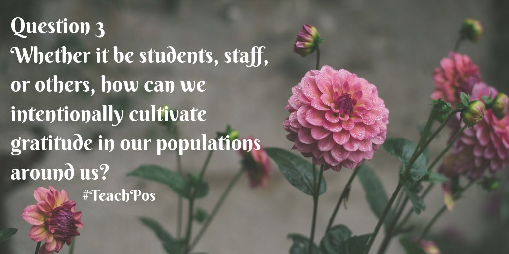 Elyse Hahne tweet media