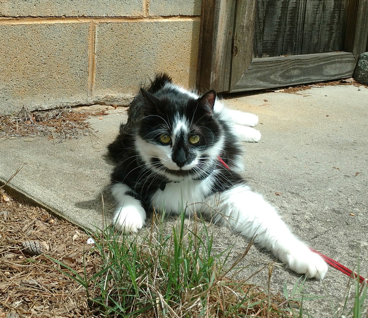 KBSRMH's tweet photo. Went for a walk today and it was great! https://t.co/i5ScakjOVb