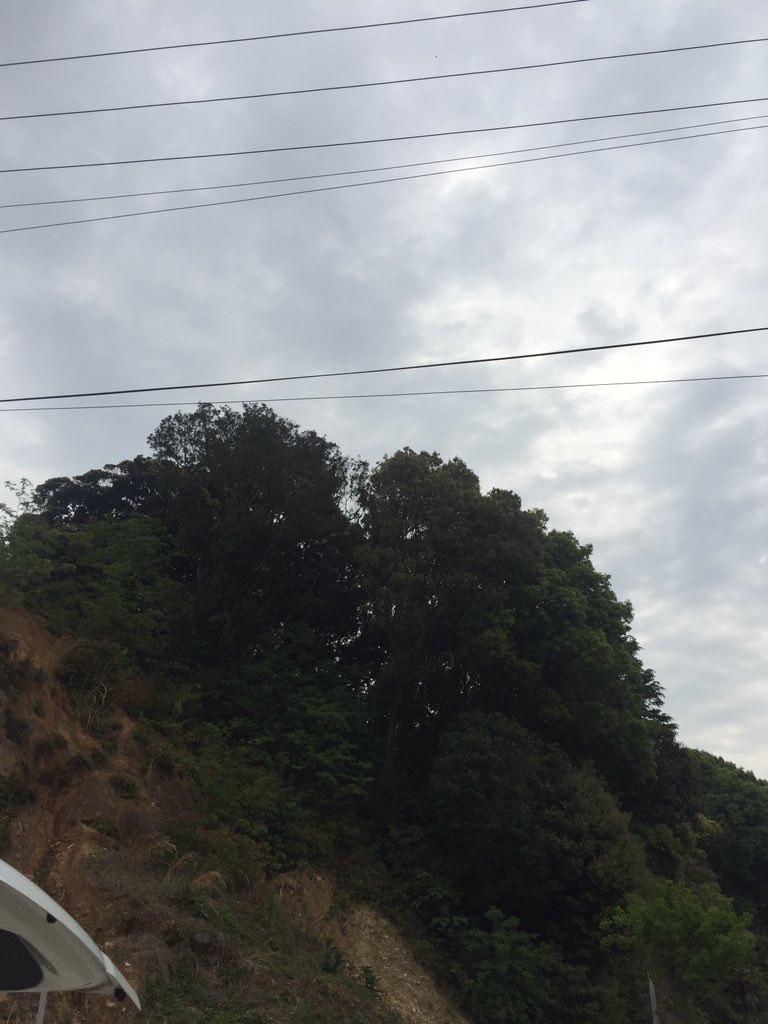 電工龍驤 tweet media