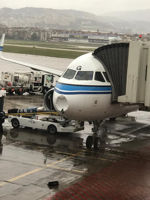 عرض الصورة على تويتر