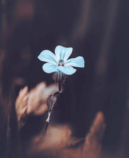 당신은
뭐든 할수있고

뭐든
이룰수 있는 사람입니다

먼저
자신감을 가지고 도전하고

긍정적인 사고로 임하고

굳은 신념으로 노력하세요

나머지는 신이 도와주실거예요