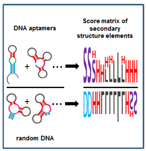 Molecules_MDPI's tweet photo. #mdpimolecules Analyzing Secondary Structure Patterns in DNA #Aptamers Identified via CompELS https://t.co/irNVPVSAZ9 #NucleicAcidLigands #SecondaryStructure https://t.co/BFZD4gBmUm