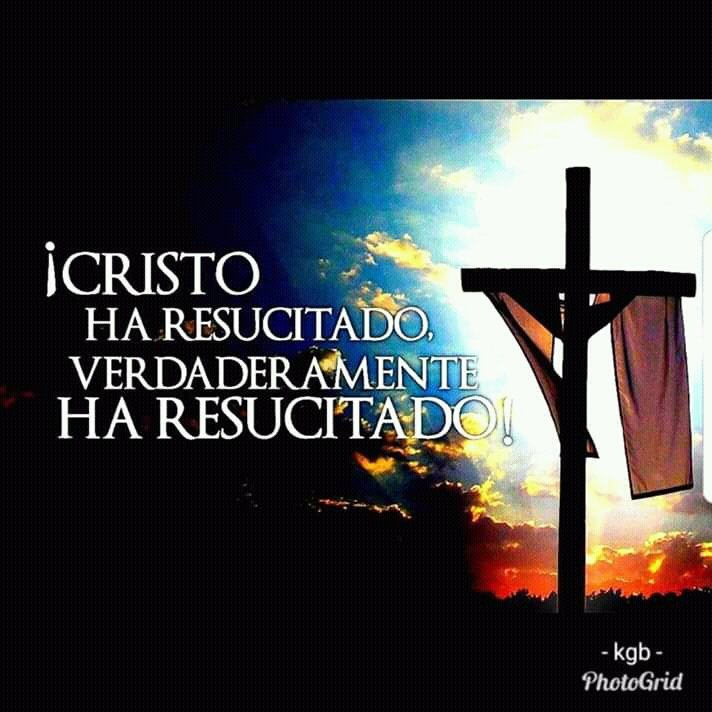 Randuavila's tweet photo. Cristo vive gloria a dios que jesucristo a resucitado
A su nombre gloria amen
Cristo aleluya
#cristovive #domingoderesurecion #asunombregloria #gloriaadios https://t.co/ClAeO9iezg