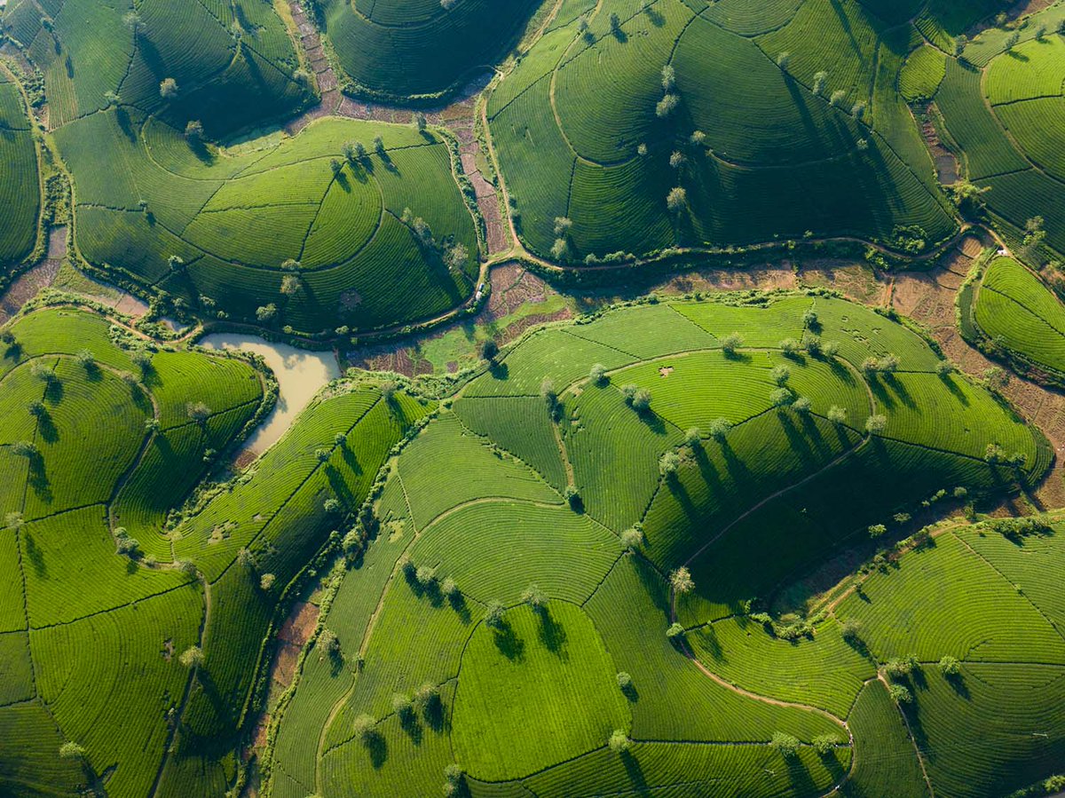 аэрофотосъемка объектов. аэросъёмка земельного участка. плановая аэрофотосъемка. комбинированная аэрофотосъемка. ортофотоплан с бпла.