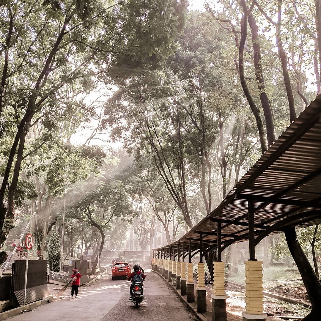 anakunpadcom's tweet image. Ada yang rindu?