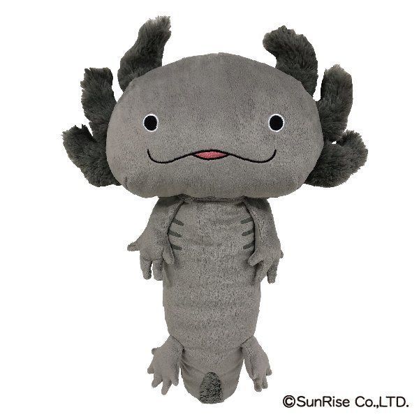 AitaiKuji's tweet photo. The Hola!! Salamanders line of weirdly cute axolotl plush and accessories is back with a new line-up of goods featuring #Oompa (the pink salamander) and #Loompa (the grey one)!
Release Date: May 2019
https://t.co/4oo6J7n22I https://t.co/kziJ1oUBdg