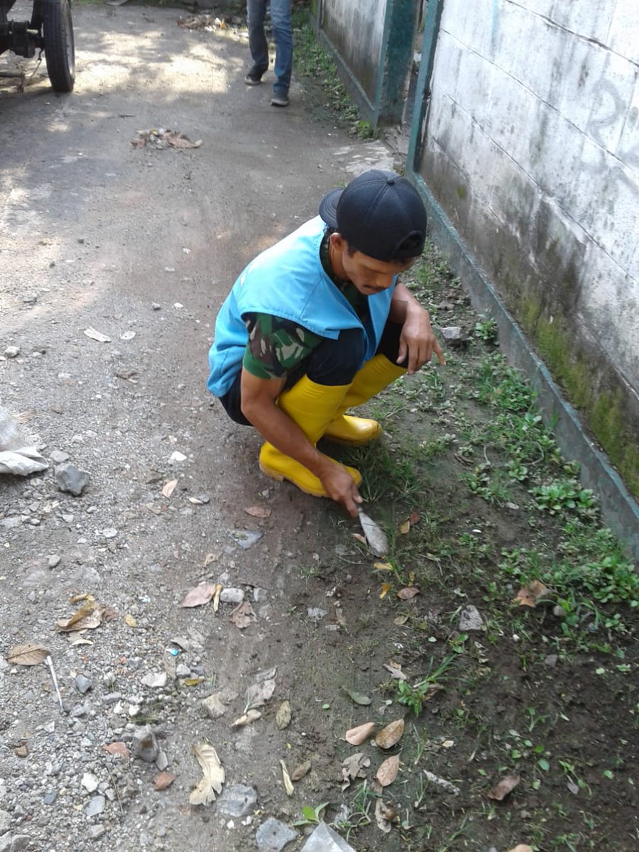 kel_cicadas's tweet photo. Giat gober cicadas pagi
@mangoded_md @dlhk_kotabandung @pembdg @cibkid.tersenyum https://t.co/e6YxZ6rkej