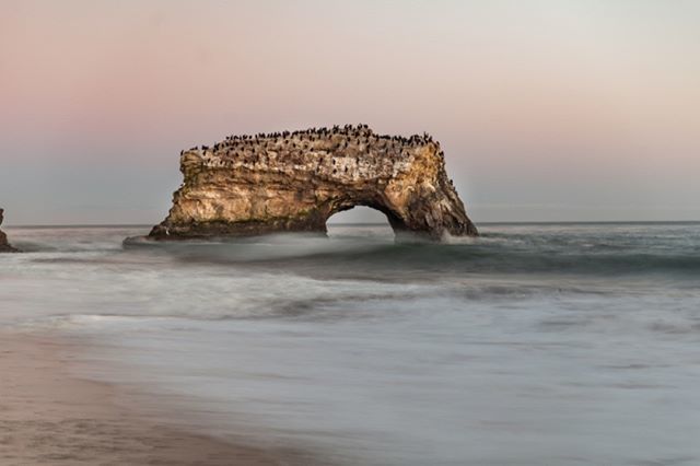MattePhotograp1's tweet photo. Spring nights @naturalbridges_statebeach 
Always a beautiful spot on the Westside. 
#sunset_pics #photooftheday #photographer #longexposure_shots #goldenhour #santacruzphotographer #visitsantacruz #natgeoyourshot #earth.shotz #rawcalifornia 
#moodygrams … https://t.co/j0D3z0KXwX https://t.co/ddnMroslb7