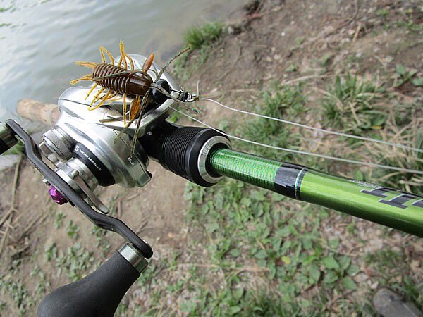 つかじー デカハネgp途中参加大歓迎 沈み虫のタックル フロロ16ポンドでヘビーロッドltt6100h 変かも 笑笑 バックスライドでカバー撃つタックルと共用ですが 最近バックスライドのほうはノーバイトで 沈めた虫によく反応するという結果 ２本