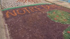 Ver imagem no Twitter