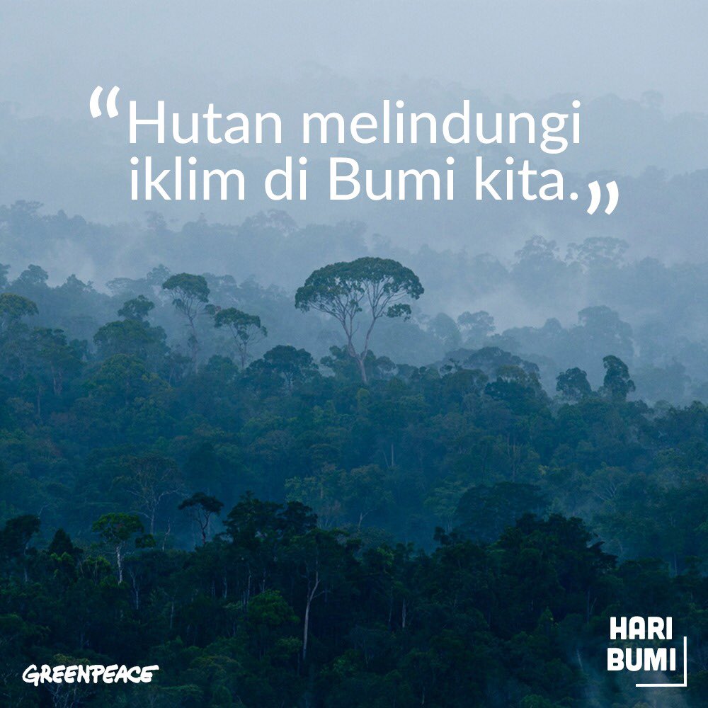 GreenpeaceID's tweet photo. Apakah kamu merasakannya? Iklim di Bumi kita kian memanas. Karenanya keberadaan hutan kita menjadi penting sebagai solusi mengatasi perubahan iklim. https://t.co/L7o9QWcqTu