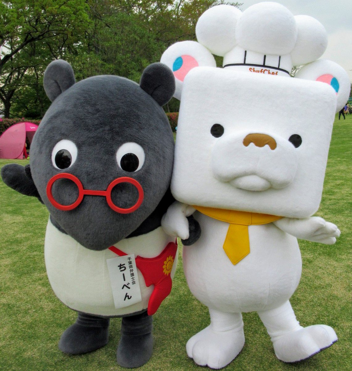 エメ V Twitter 19 04 21 第2回 ご当地キャラクター大運動会 ちーべん と シュガ キッズダムキャラクター大運動会 ご当地キャラクター大運動会 ちーべん シュガ