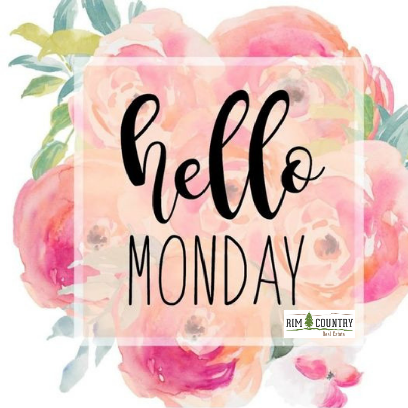 RimRealEstate's tweet photo. It's a new #week! Make it count!

#MondayMotivation https://t.co/VSbLGkYB2N
