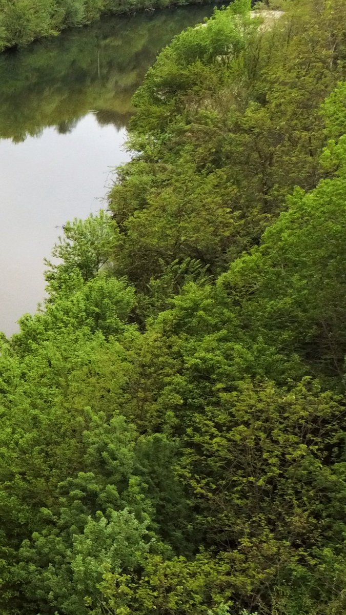 Paddle Aventures Sup Explorer Avoir La Chance D Etre Au Milieux De La Nature Entre Montagne Et Riviere Un Mode 100 Nature Nature Zen Outdoorlife Foret Riviere Natureaddict River Riviere Supexplorer