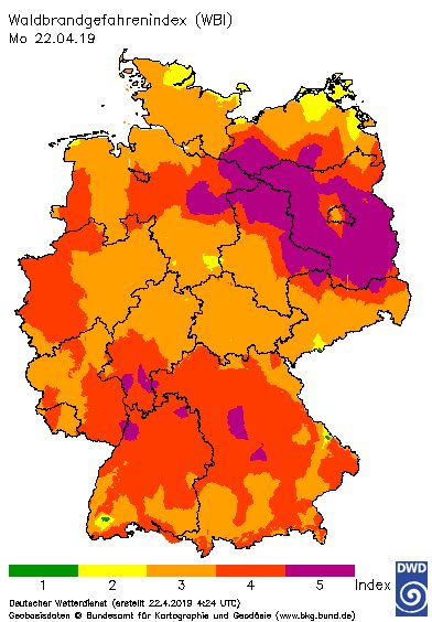 FFF_Berlin's tweet photo. Links seht ihr eine aktuelle Karte zur Waldbrandgefahr in D vom @DWD_klima. Berlin-Brandenburg ist fast gänzlich lila (Stufe 5) und in weiten Teilen D's sieht es mit Stufe 3-4 nicht wesentlich besser aus.
Rechts ist eine Karte von Heute vor 9 Jahren zur Waldbrandgefahr in D. https://t.co/OI1lMD9lZs