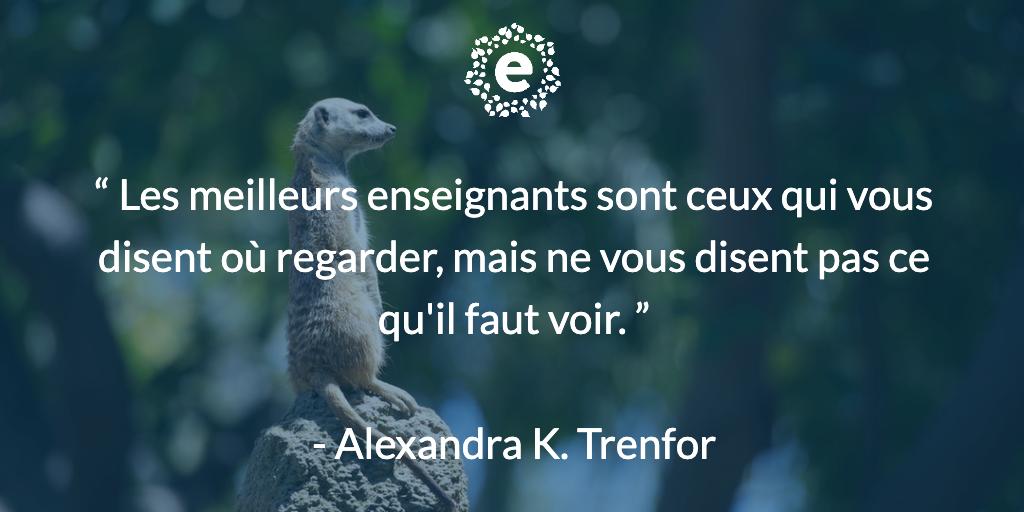 Eduvoices Citation Les Meilleurs Enseignants Sont Ceux Qui Vous Disent Ou Regarder Mais Ne Vous Disent Pas Ce Qu Il Faut Voir Alexandra K Trenfor Education Enseignement