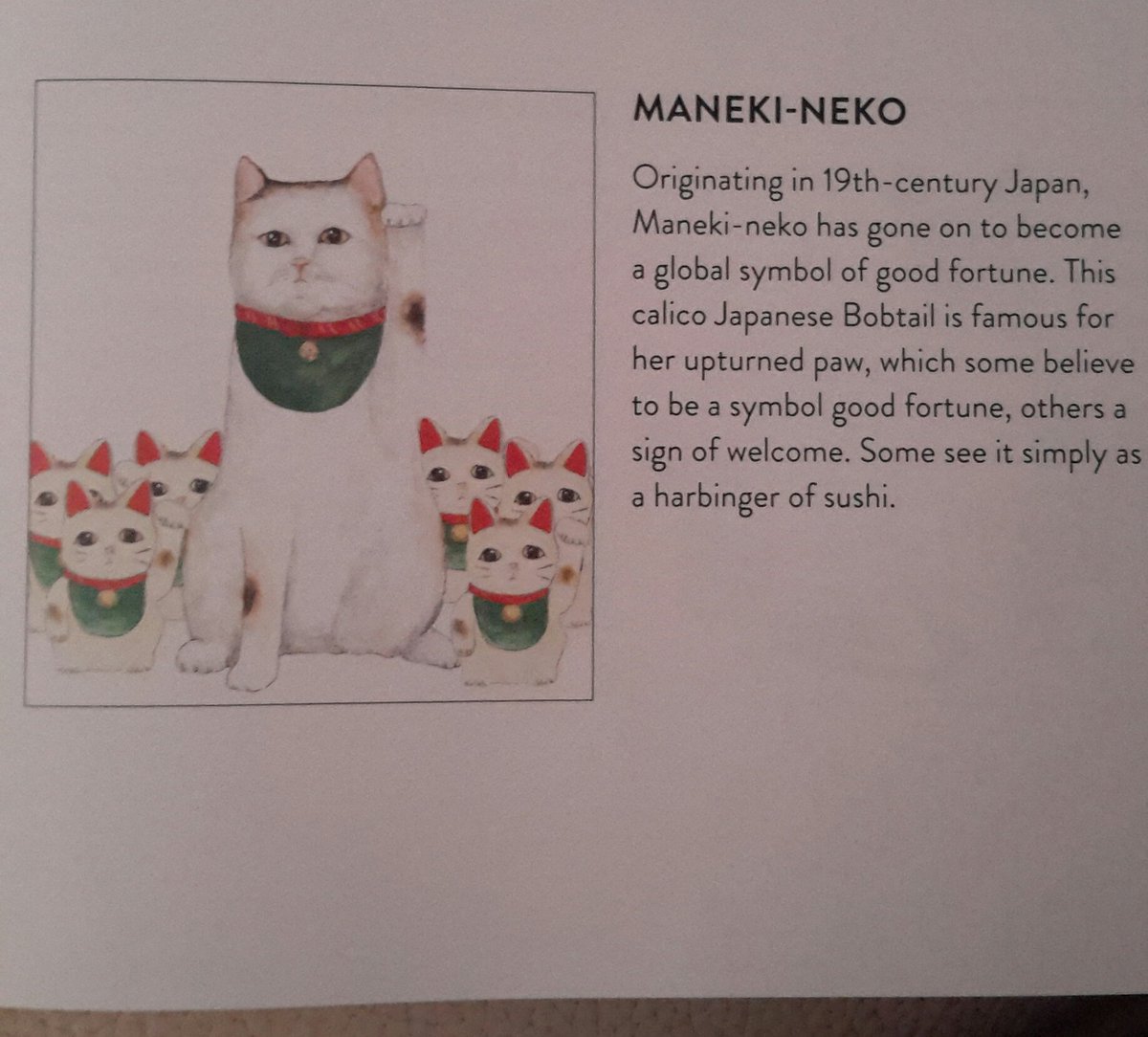 Today's gurus!Maneki-Neko