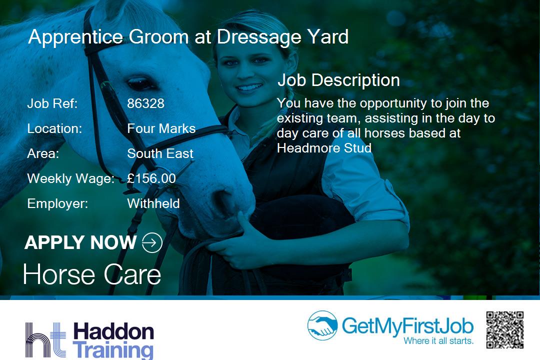 GetMyFirstJob's tweet image. GetMyFirstJob are looking for an #apprentice Groom at Dressage Yard #apprentice in #FourMarks -