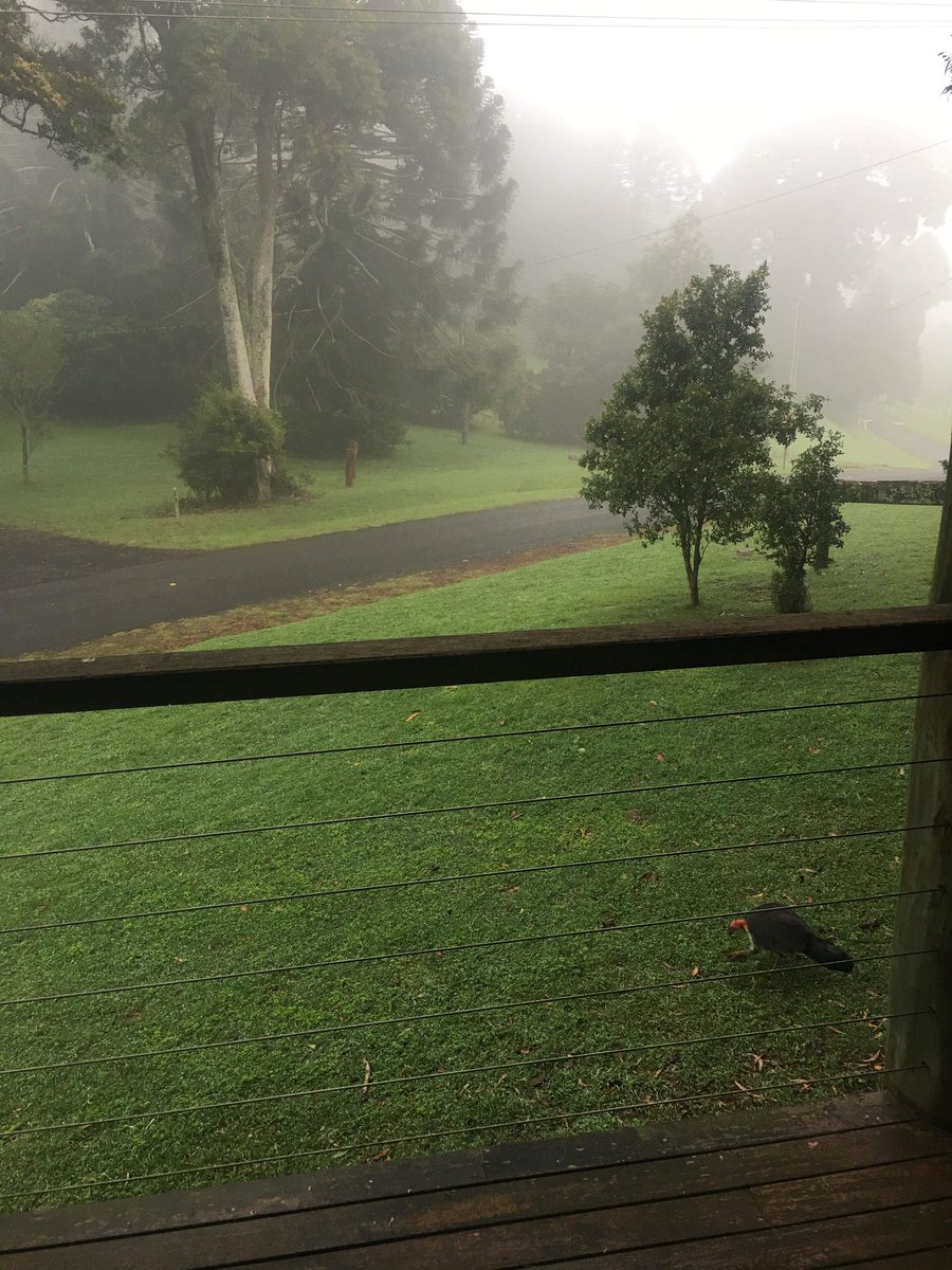 CarolynJWatson's tweet photo. Home from our mountain retreat. ♥️ The Bunyas. Such a peaceful place to visit. Hope everyone had a great Easter. https://t.co/C92afVKqZN