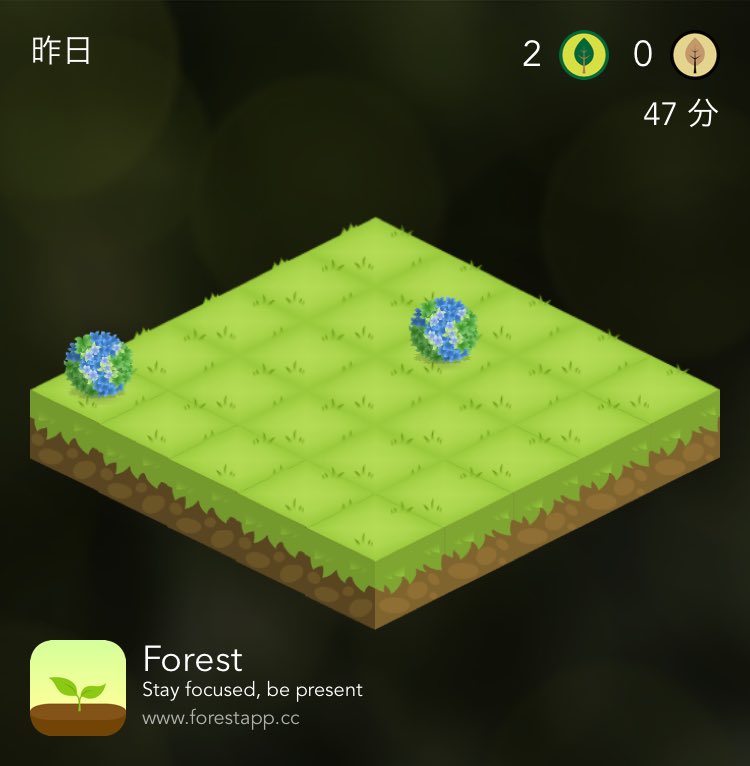 m94882948's tweet photo. #ForestPostforEarth #EarthDay2019 https://t.co/OY03Zyha9a