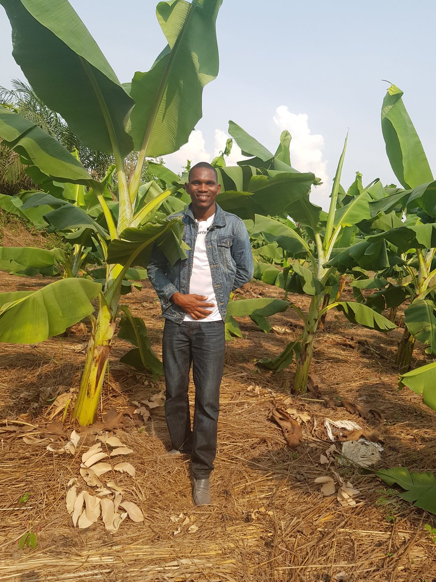 Boubacar 2 Bah tweet media