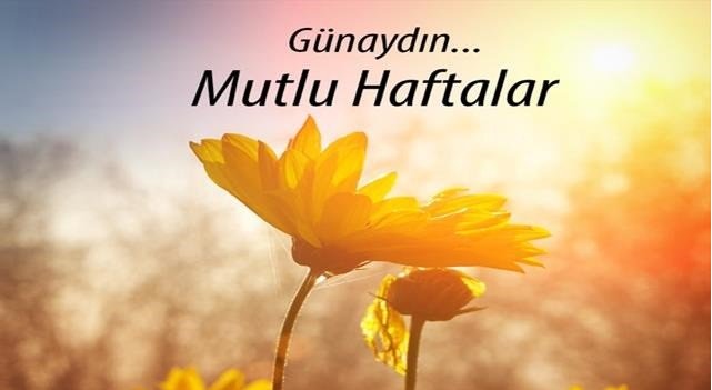 ASO METES ekibi olarak herkese iyi haftalar dileriz...

#metes #meslekiyeterlilik #aso #myk #türkak #sınav #belgelendirme